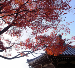 そうだ!京都へ行こう　（１）