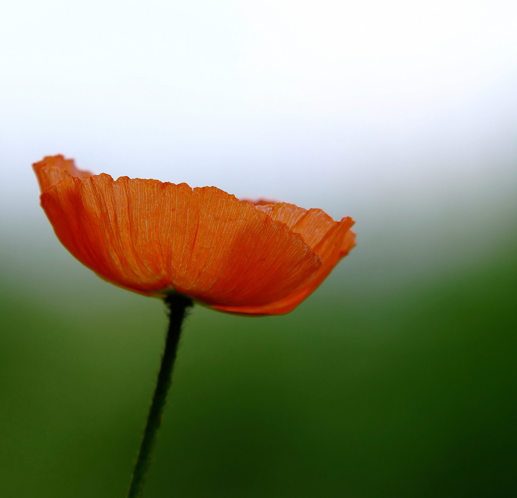 幸せな時間　２