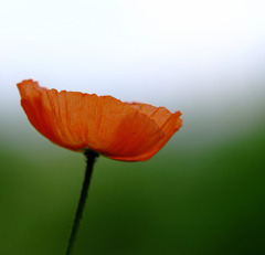 幸せな時間　２