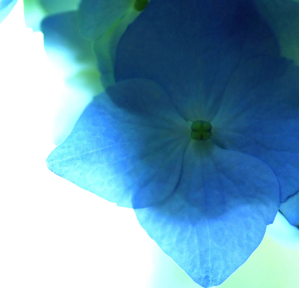 淡いブルーの世界へ