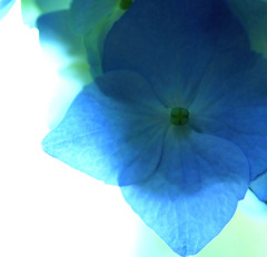 淡いブルーの世界へ