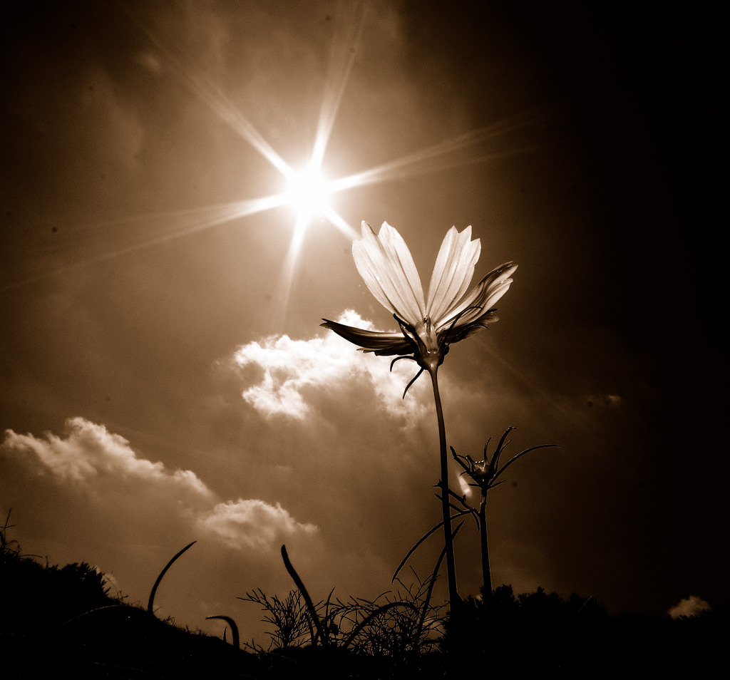 クロスステージへ　３