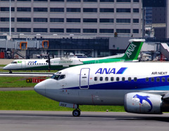 ANA 　vs　ANA