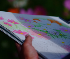 絵の中のコスモス。