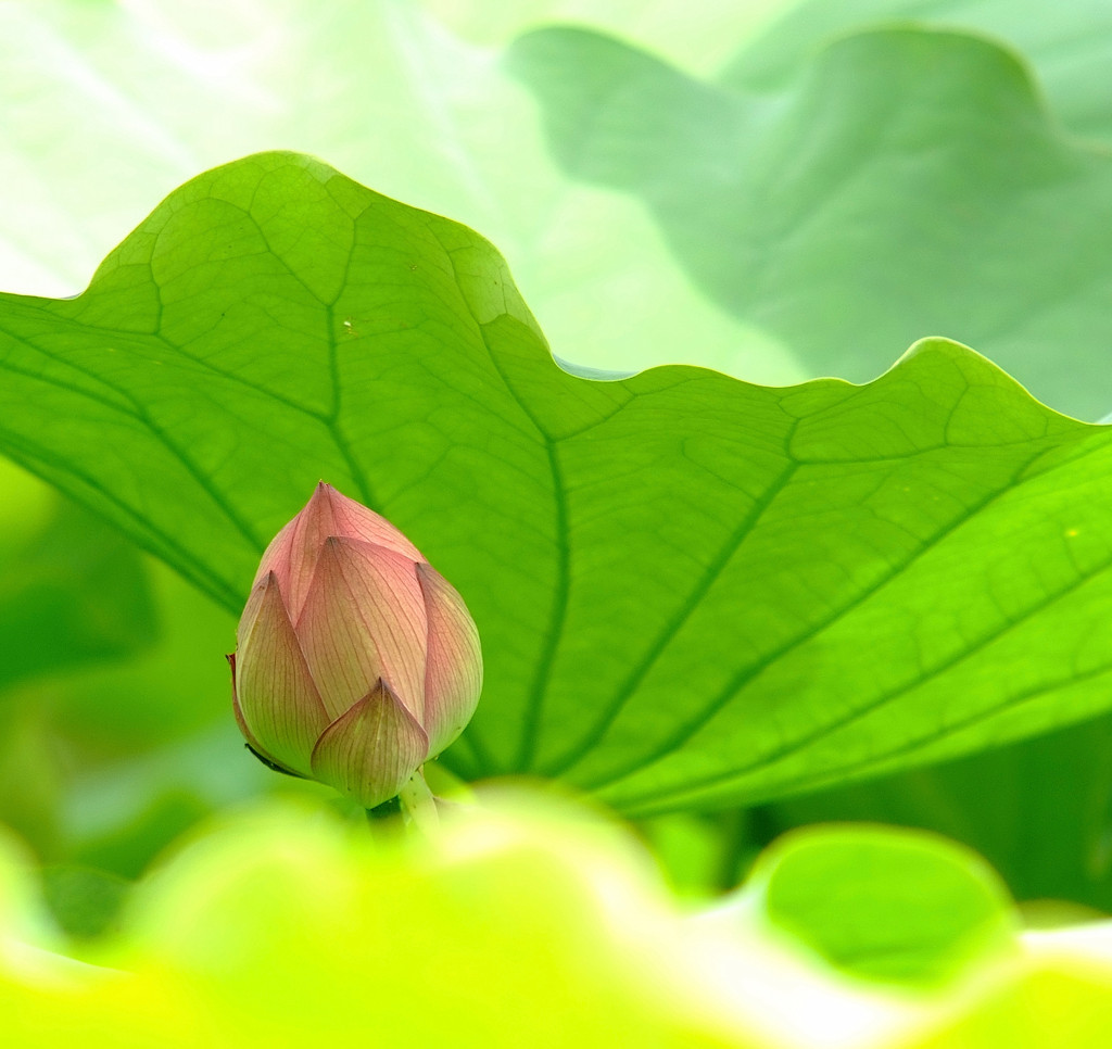 雨時々曇り。