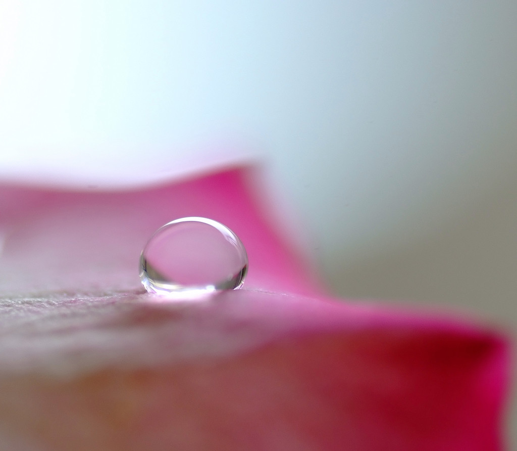 雫研究所通信５