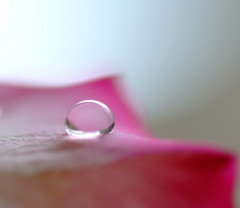 雫研究所通信５