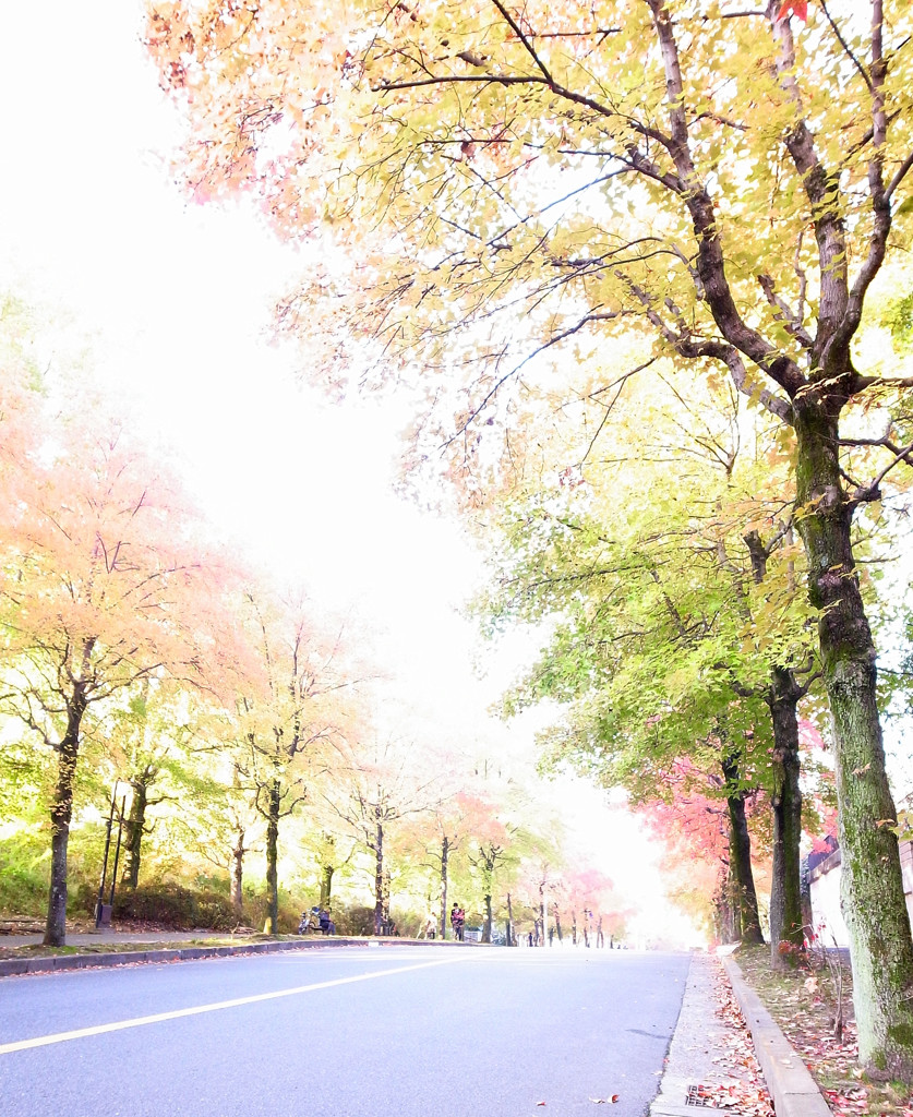 三色彩道　2013