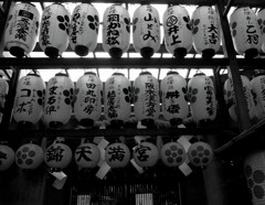 京都散歩２０１３・（４）
