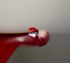 灯・雫（４）