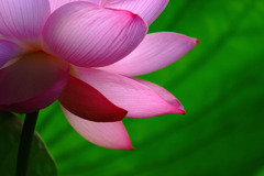 時間をとまれ　１