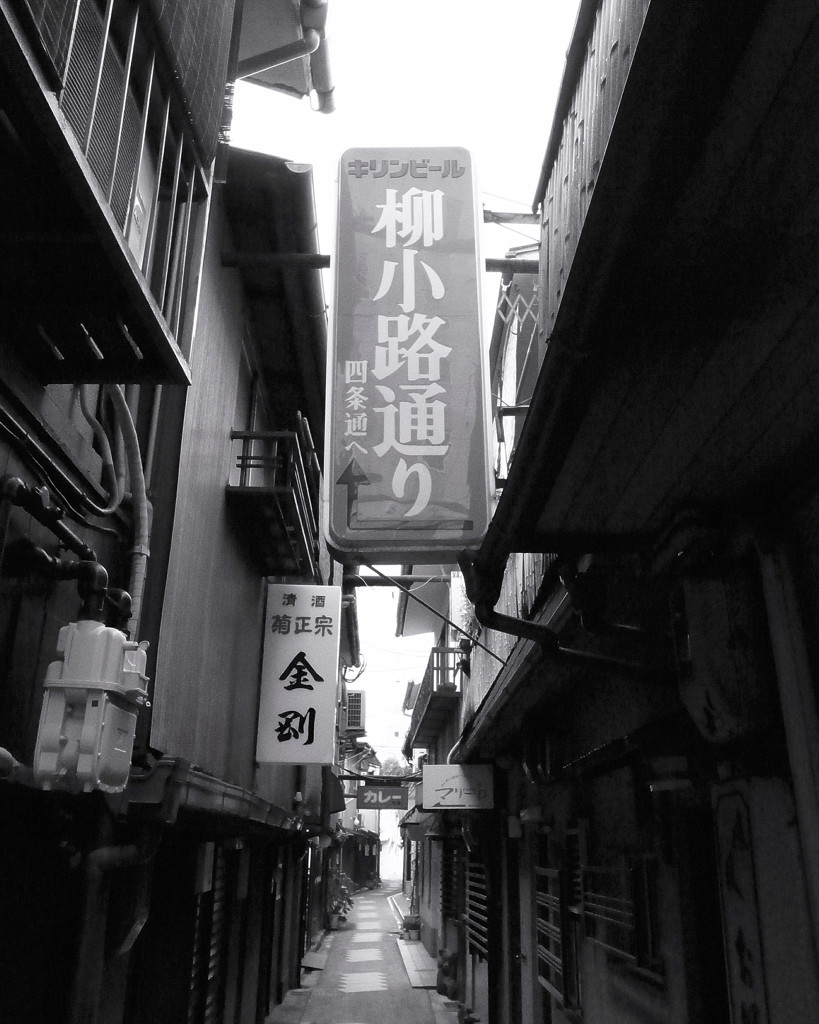 京都散歩２０１３・（３）