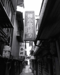 京都散歩２０１３・（３）
