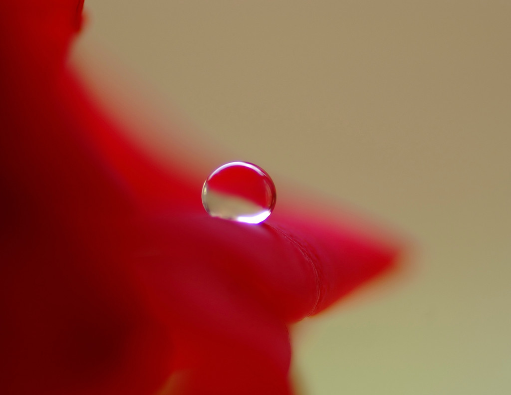 夢・雫（３）