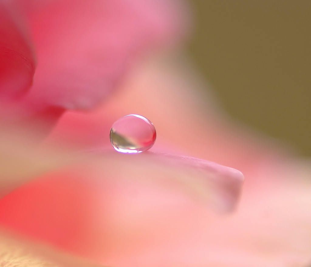 想・雫（５）