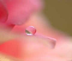 想・雫（５）