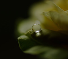 永遠・雫