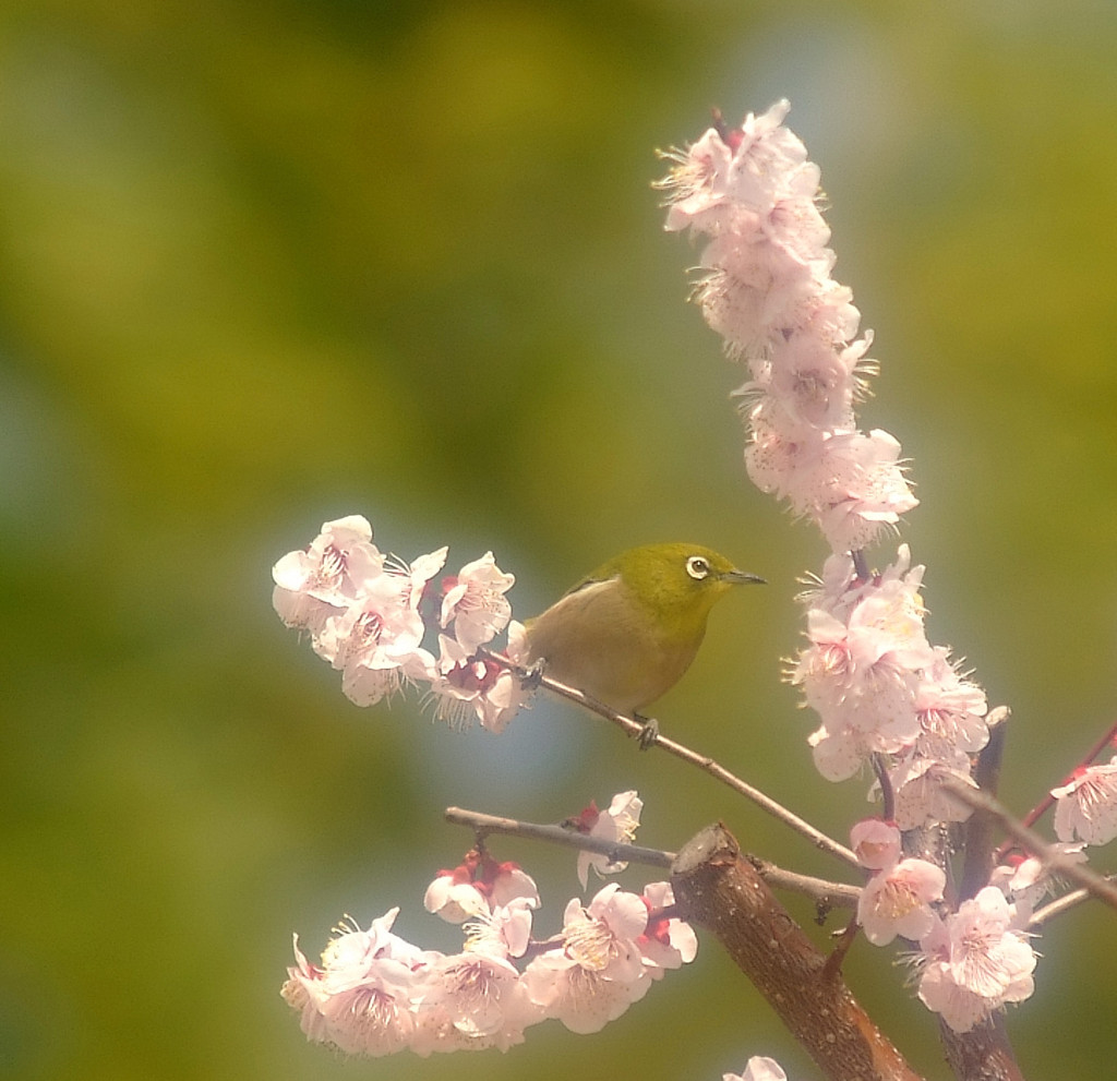 ひとりぼっち。