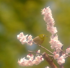 ひとりぼっち。