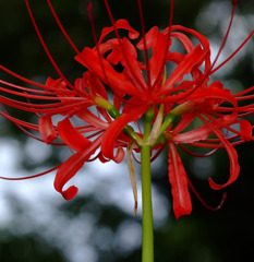 季節は秋。。。