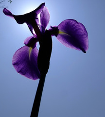 太陽を浴びて。。