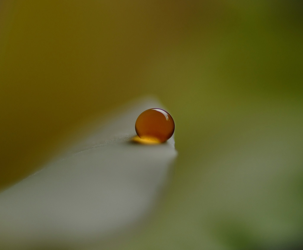 琥珀の想い・（雫）