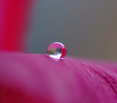 夏・雫（２）