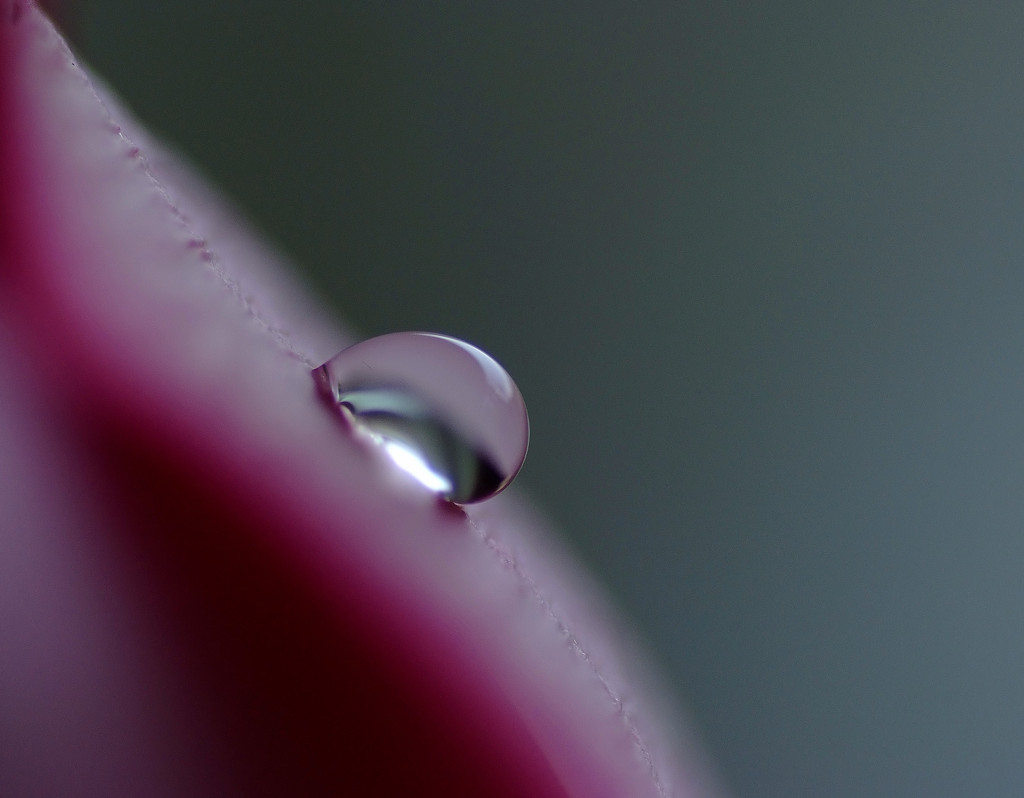 雫研究所通信　６