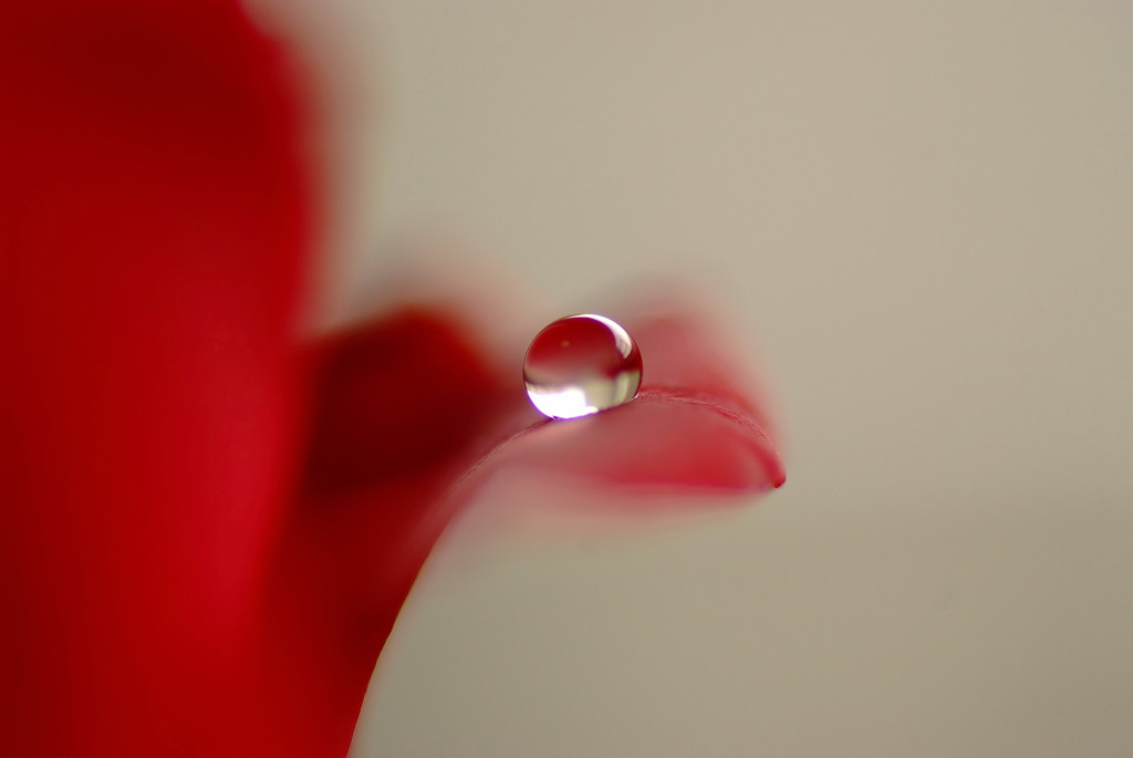 灯・雫（３）