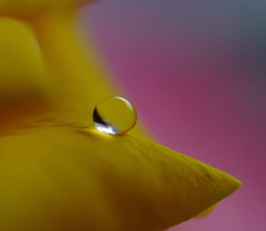 想・雫（８）