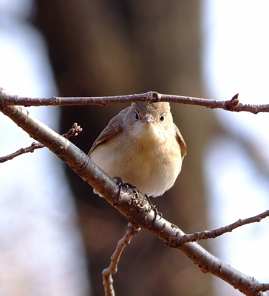 覗き見。。
