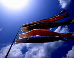 青雲　それは。。。