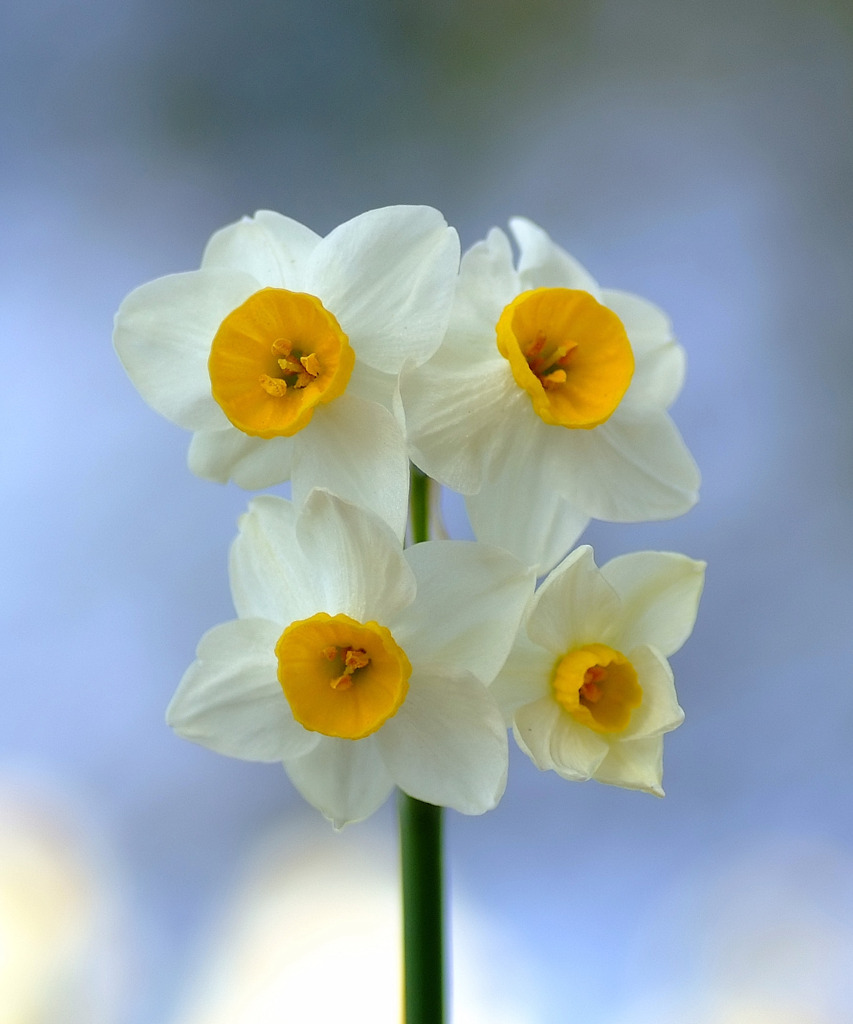 寄り添うように。。