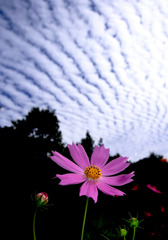 秋空の中で、、