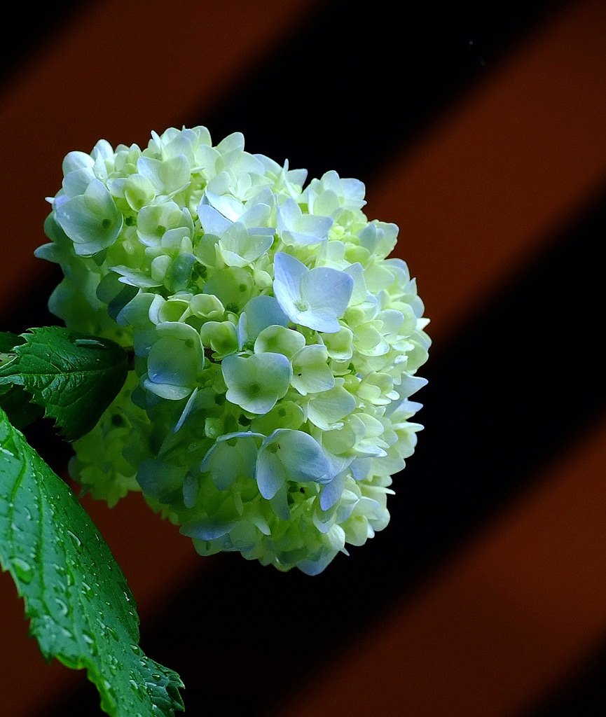 優しい光につつまれて。