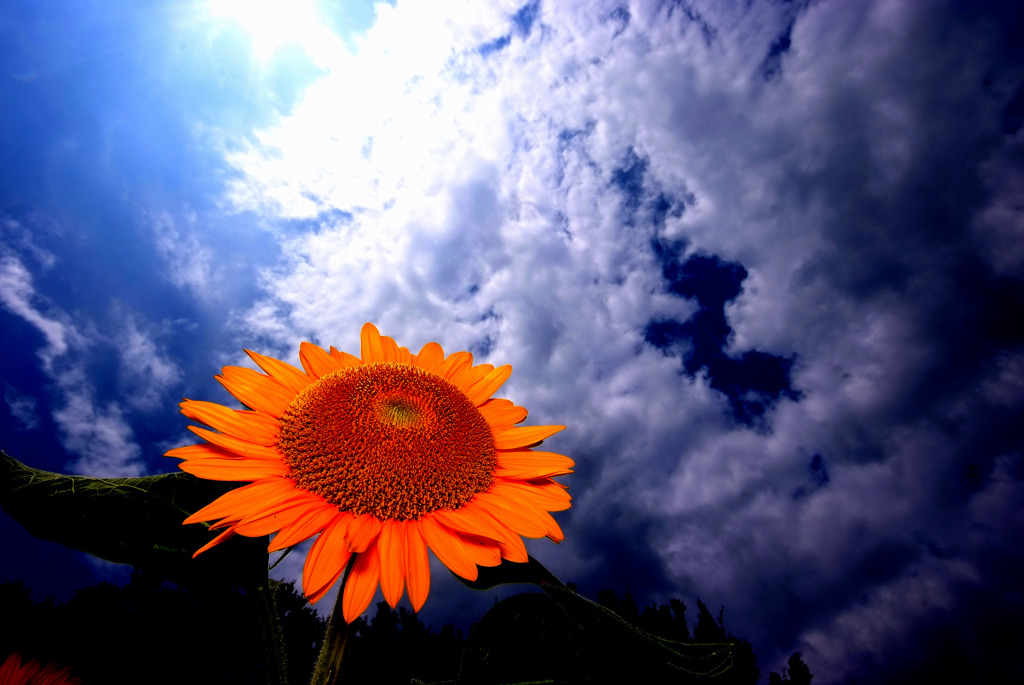 あっつーい夏！