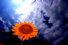 あっつーい夏！