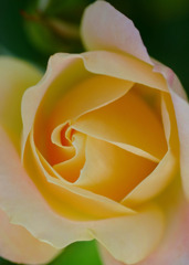 渦の世界へ　１