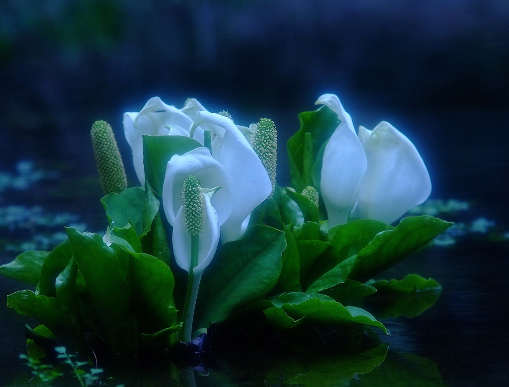 春の恵み（２）