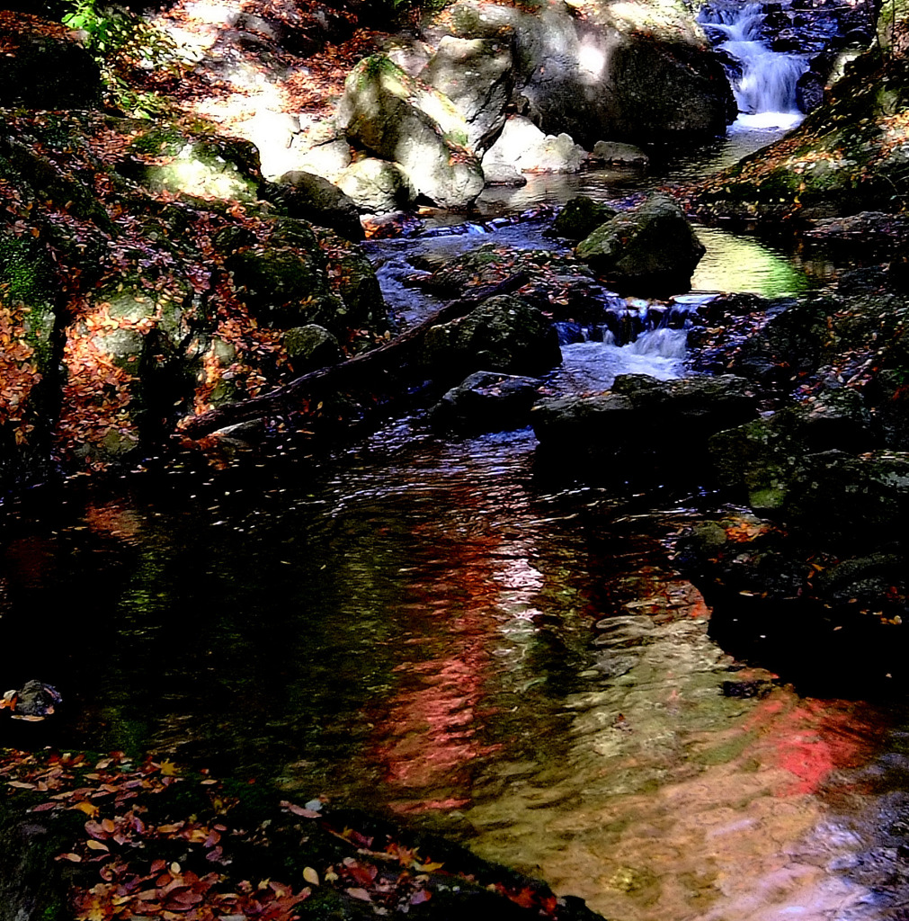 水面を見つめて、、