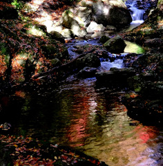 水面を見つめて、、