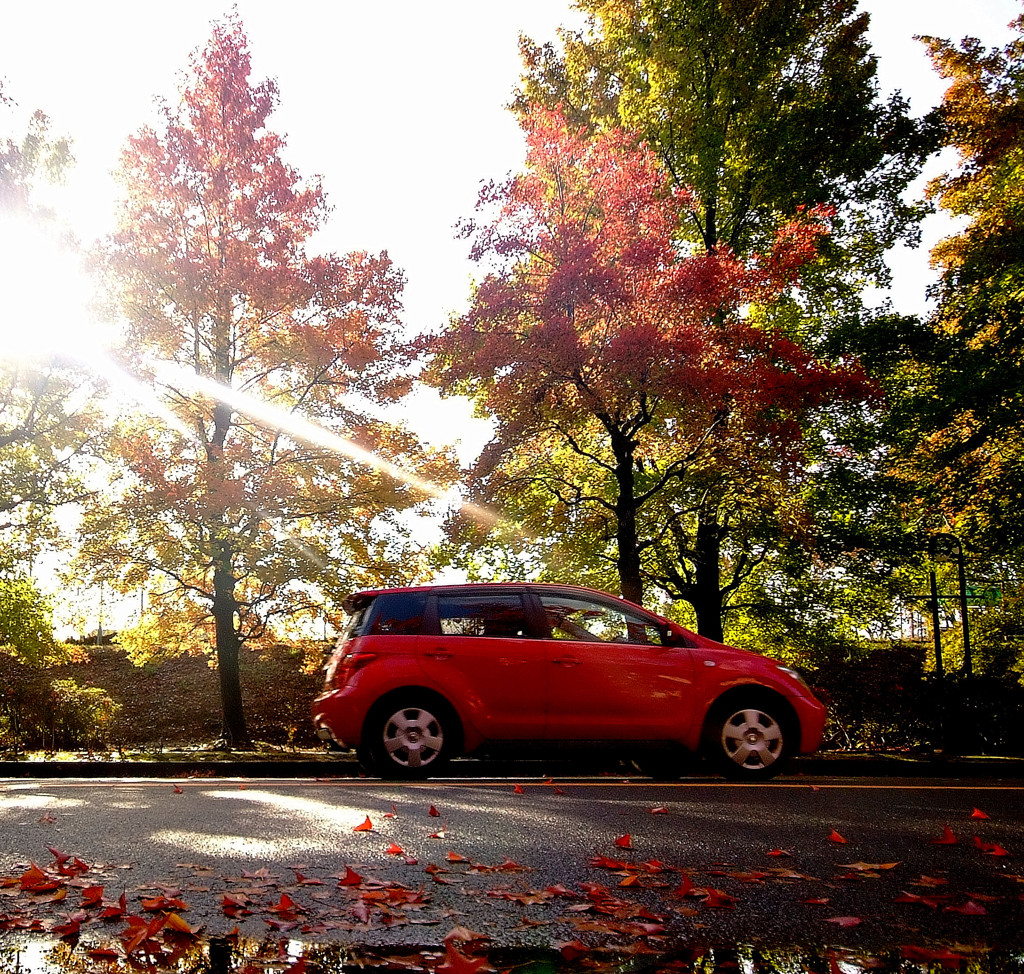 木漏れ日の中で　（3）