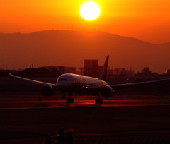 未来への翼・７８７