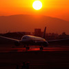 未来への翼・７８７