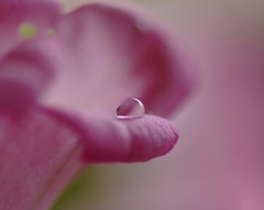 雫遊び　（２）