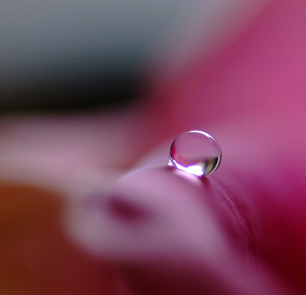 皐月・雫通信（３）