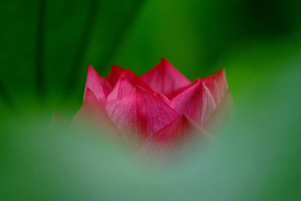 時間をとまれ　２