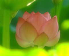 神聖