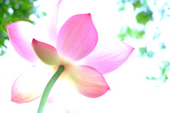 24ミリの世界。。