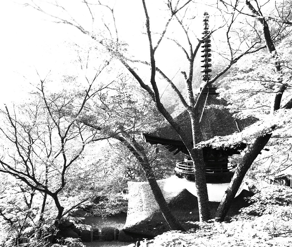 そうだ！京都へ行こう（３）